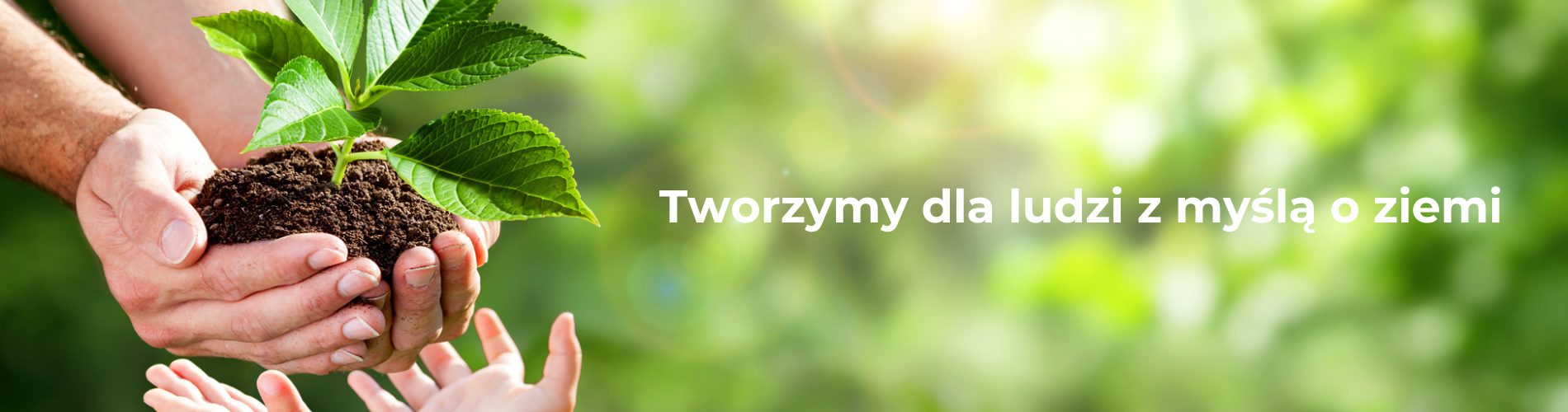 przekazanie rośliny z dorosłych rąk w ręce dziecka